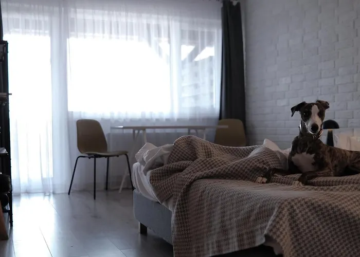 Lazienki Chodzieskie 2* Chodziez